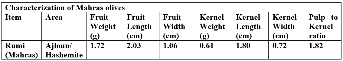 Morphological characterization of Mahras variety