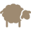 Awassi sheep