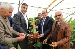 567_(1)_(صورة_اخبار)